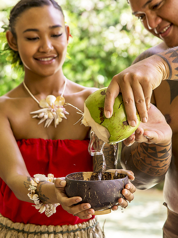 Underwater Observatory & Coconut Experience