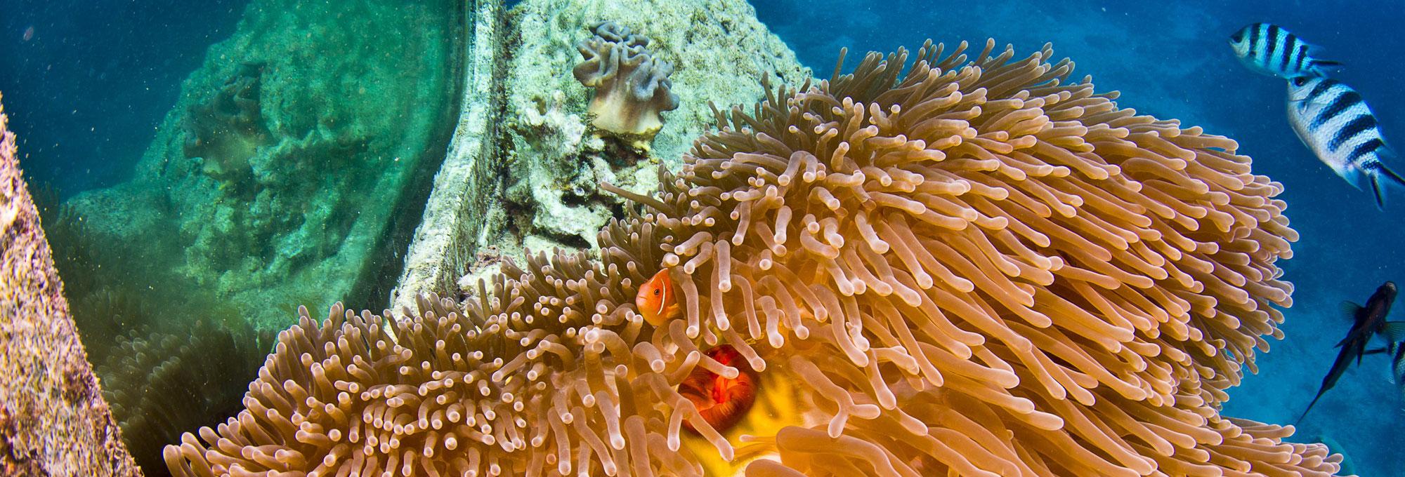 Underwater Observatory Image 2